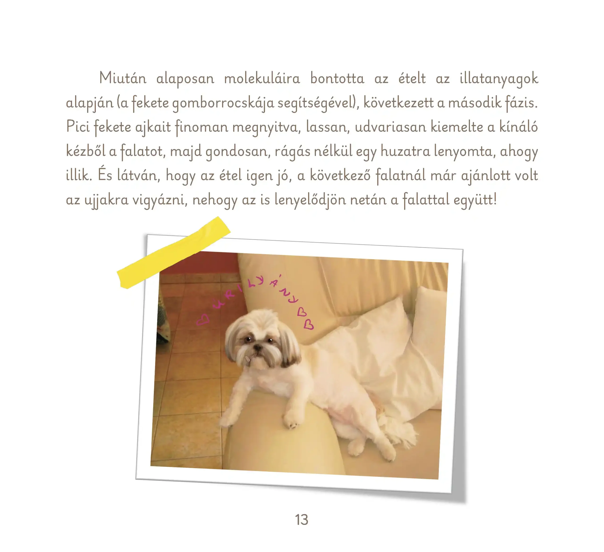 süti és desszi_Oldal_13