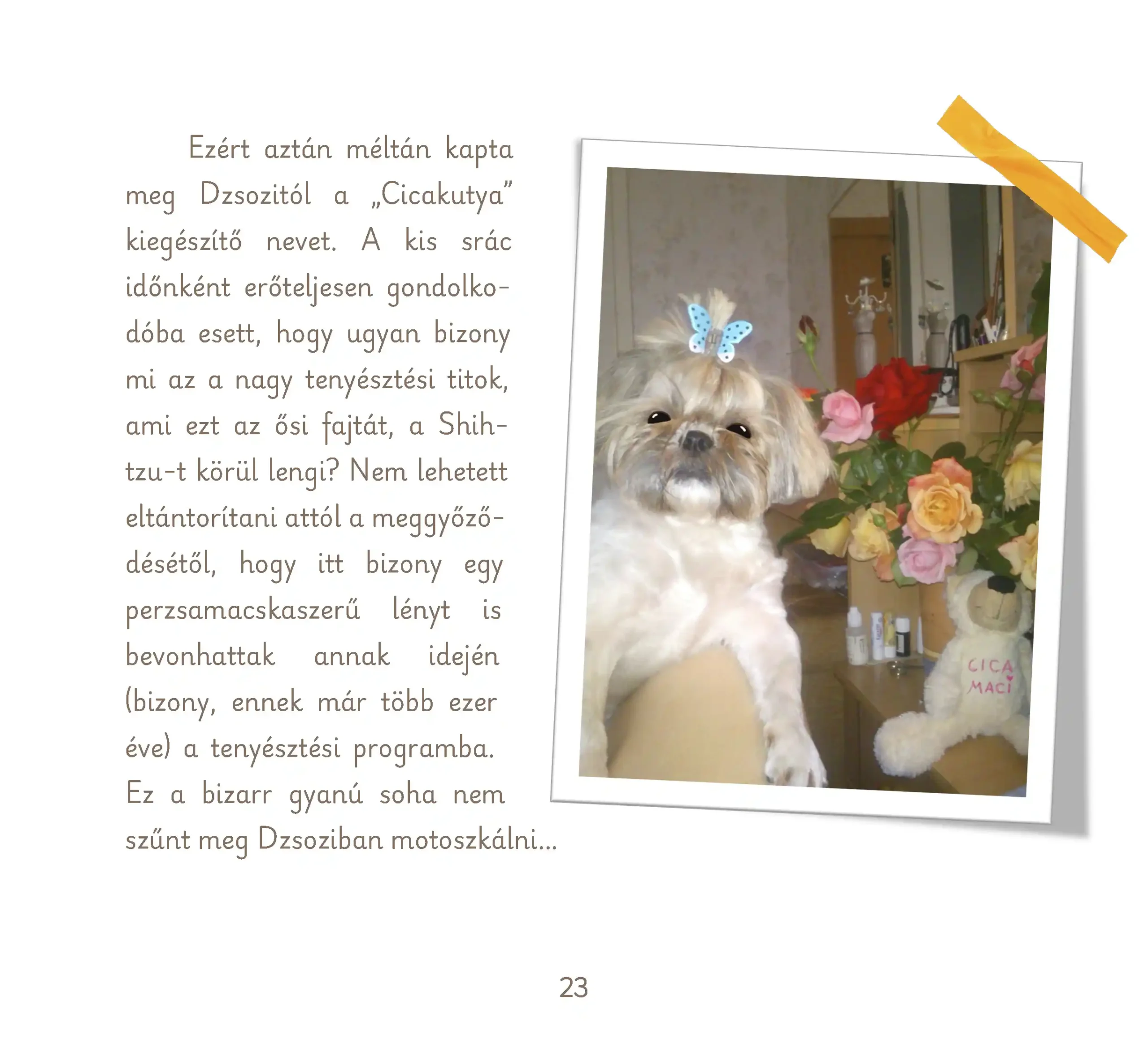 süti és desszi_Oldal_23