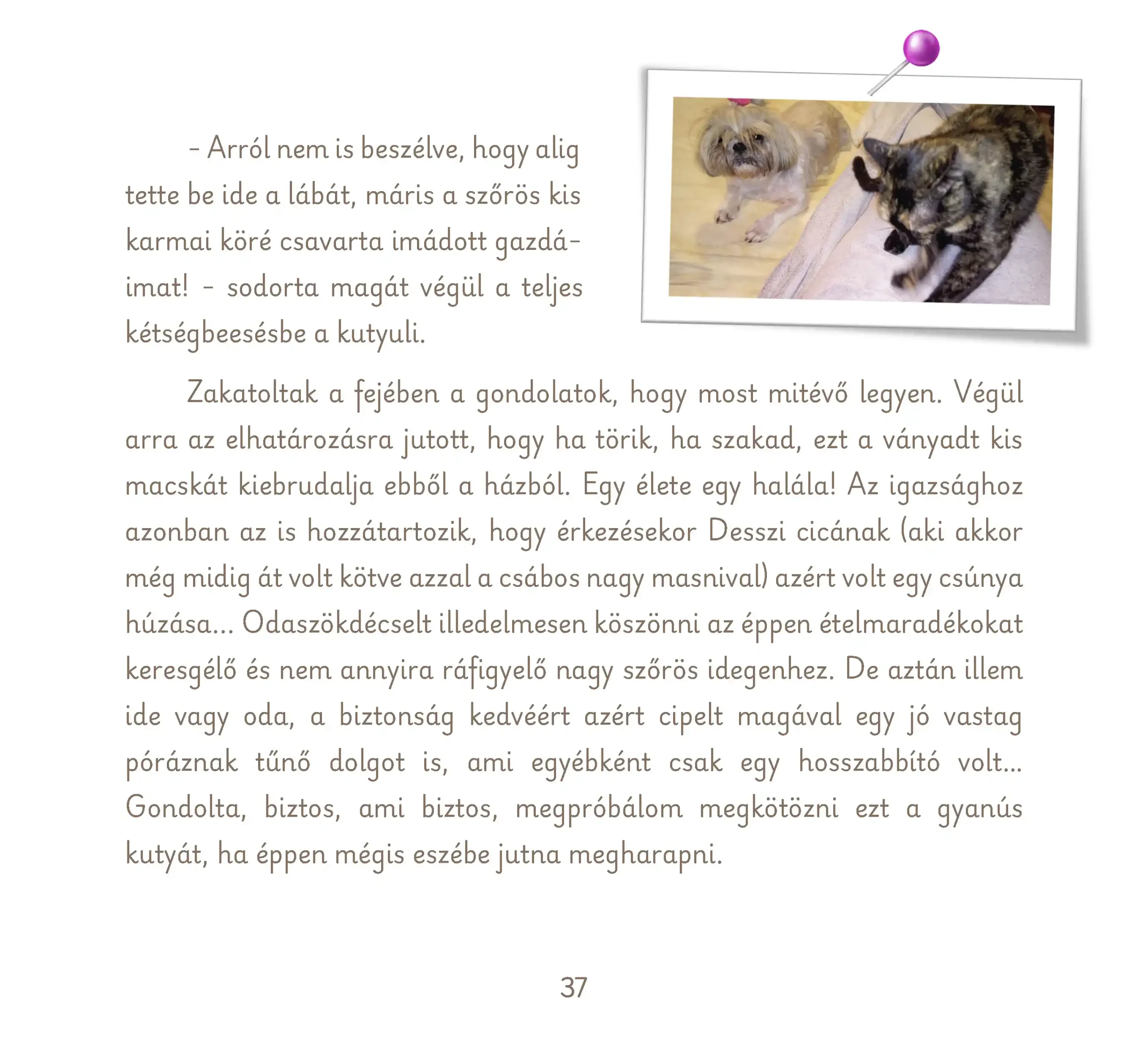 süti és desszi_Oldal_37