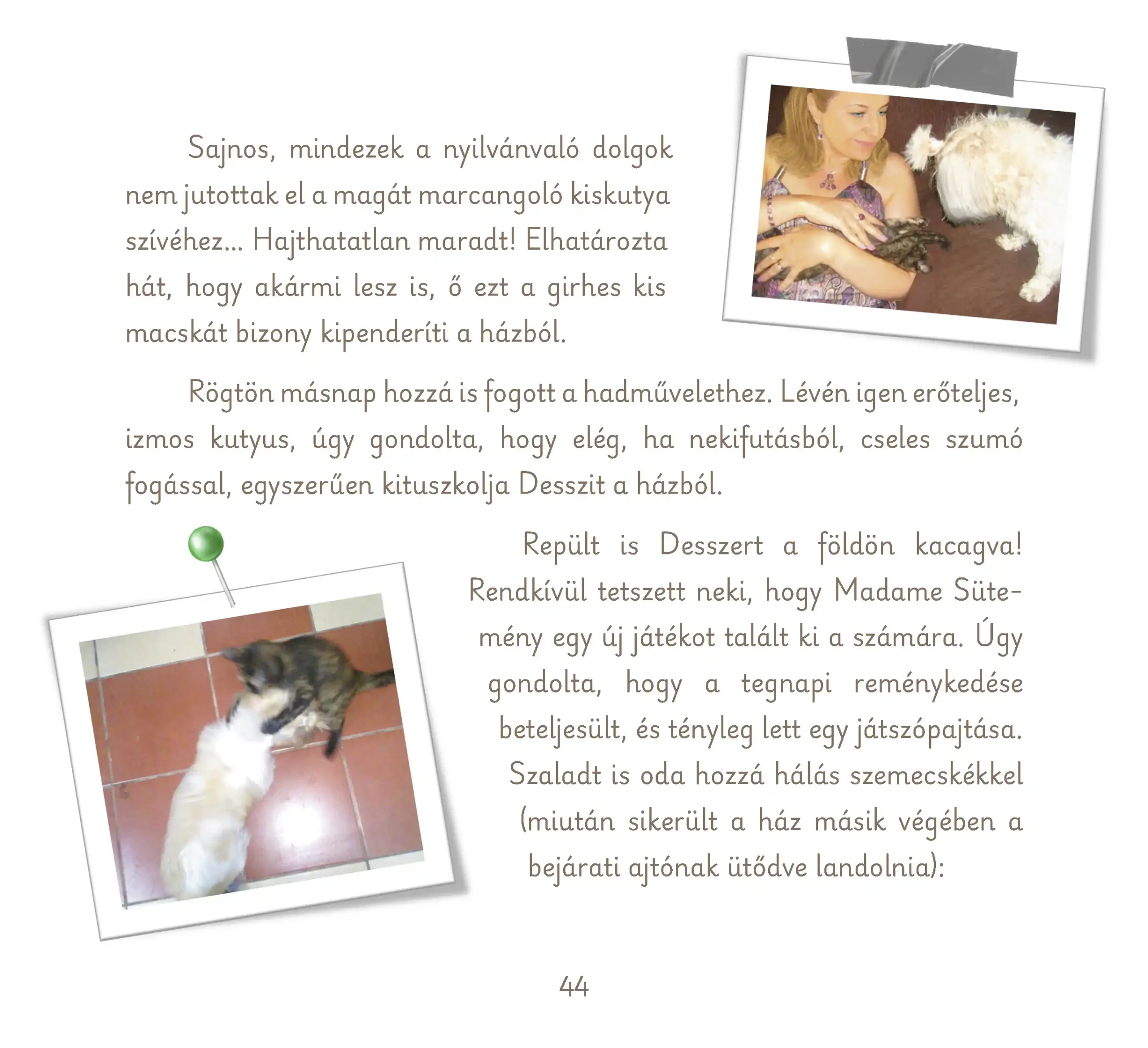süti és desszi_Oldal_44