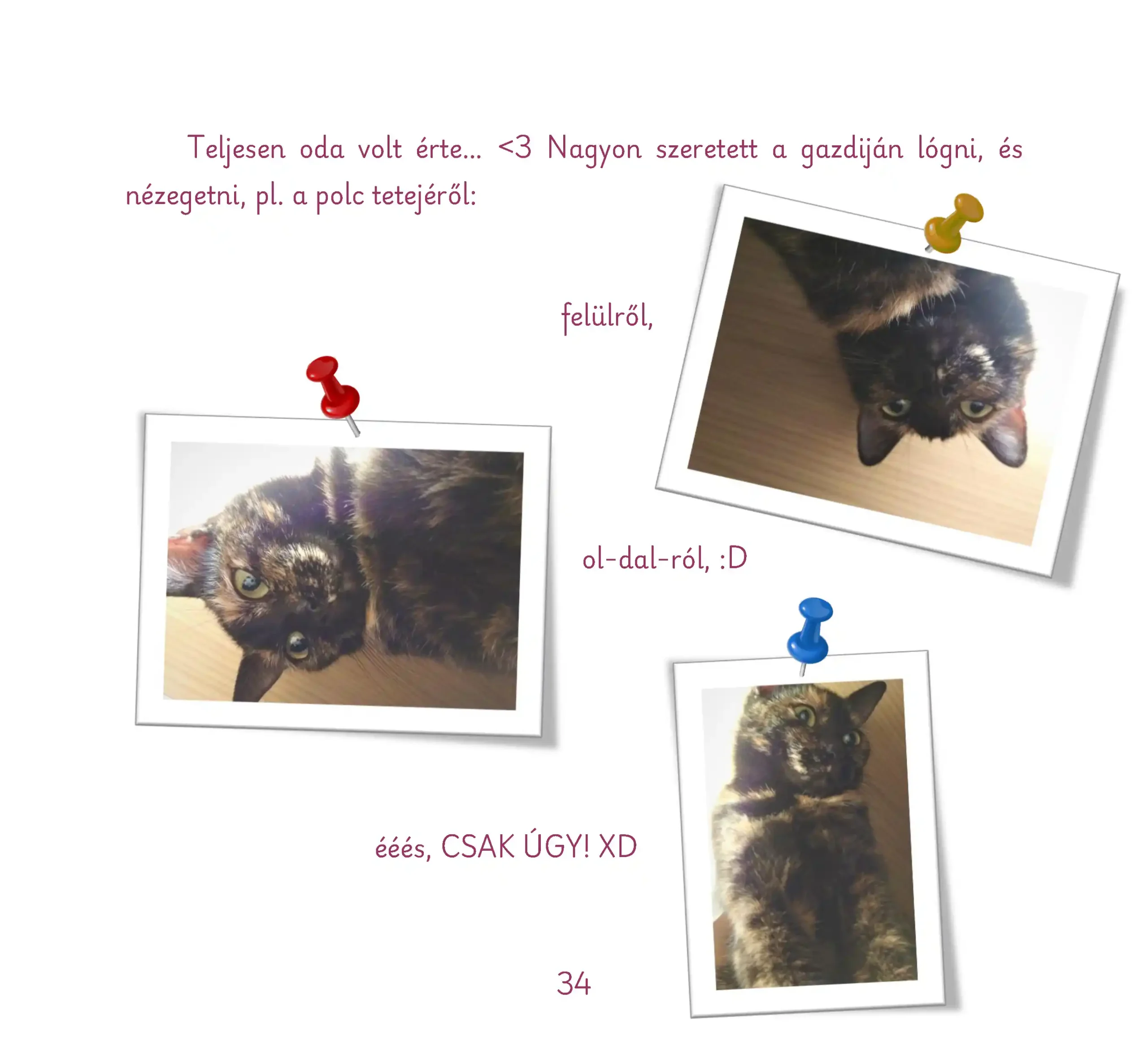 Cicaszerelem_Oldal_034
