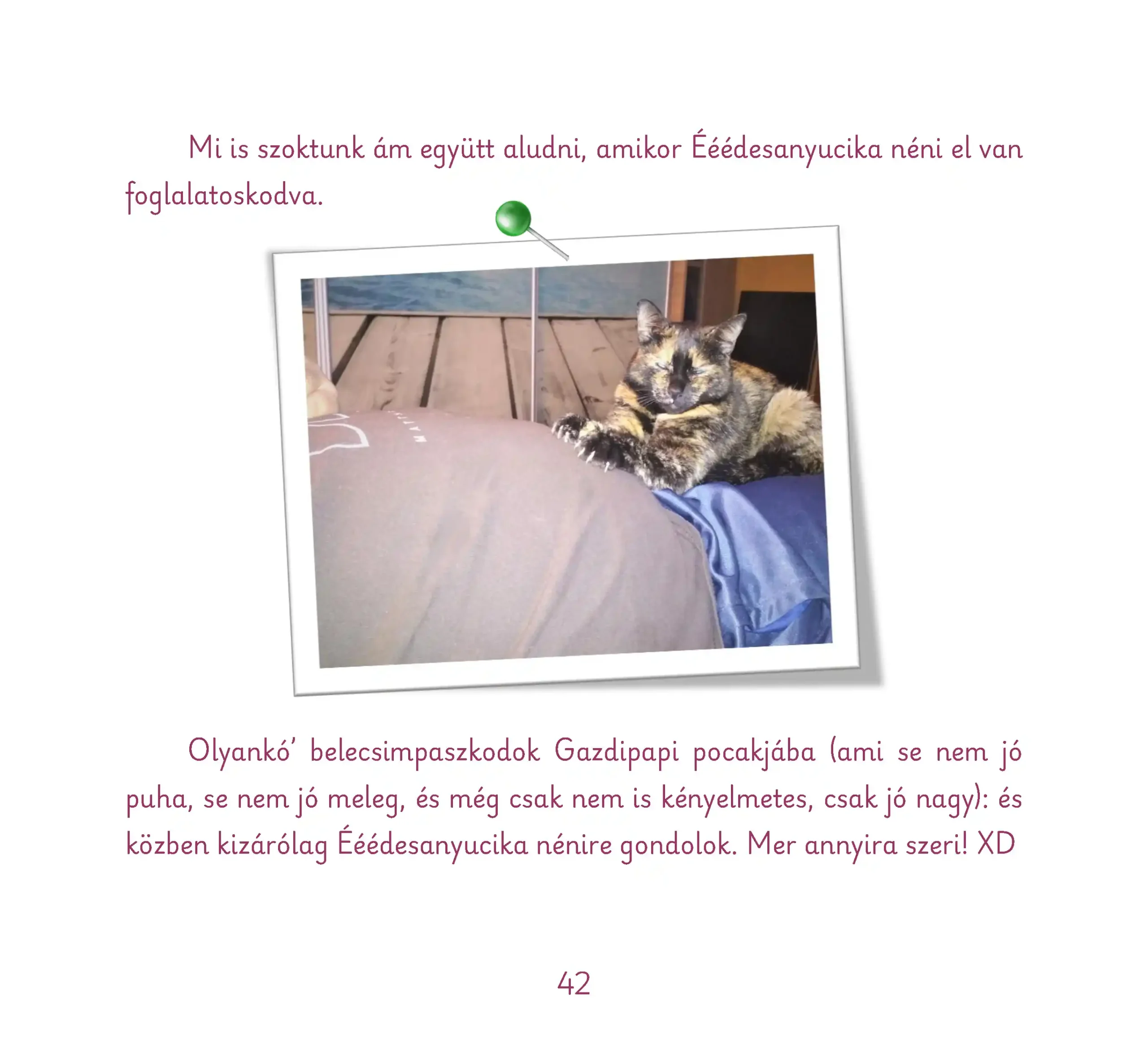Cicaszerelem_Oldal_042