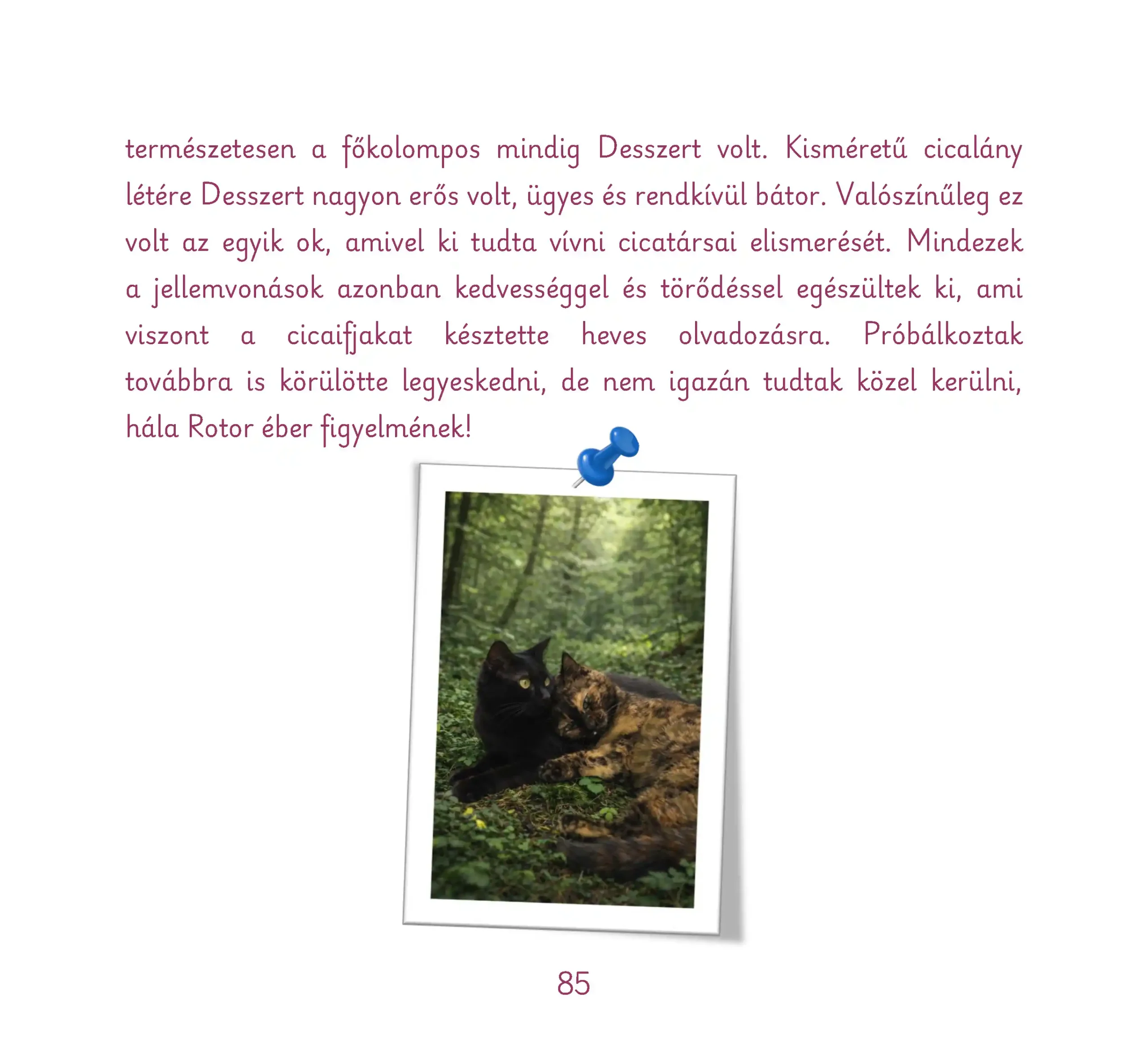 Cicaszerelem_Oldal_085